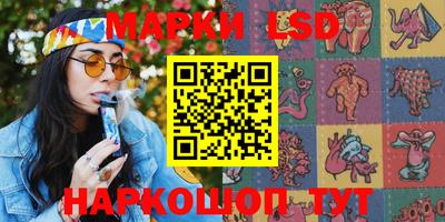 индика Брянск