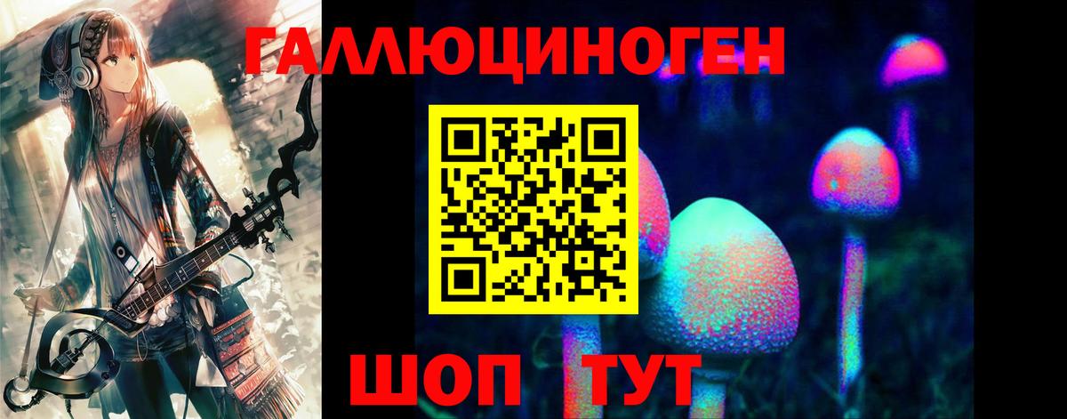 Магадан  Галлюциногенные грибы прущие грибы  Вход с VPN 