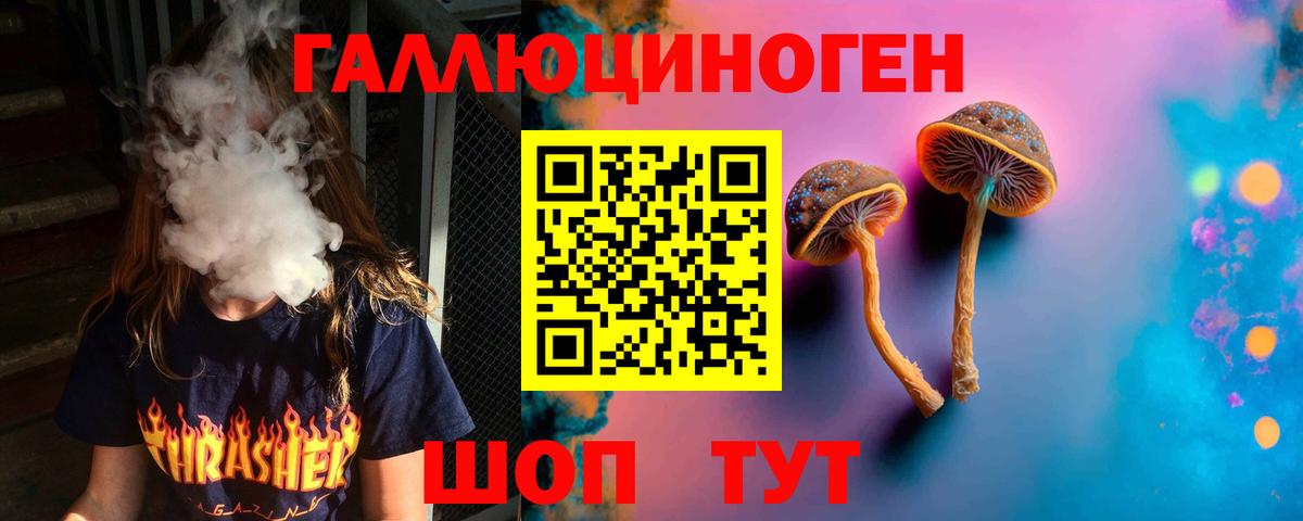 Псилоцибиновые грибы GOLDEN TEACHER Магадан